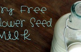 Homemade Sunflower Seed Milk | Dairy & Nut Free