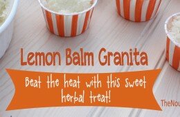 Lemon Balm Granita